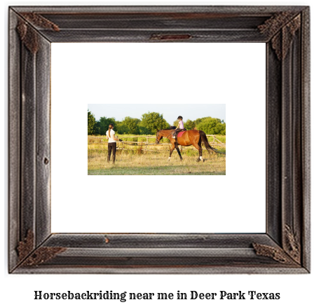 horseback riding near me in Deer Park, Texas